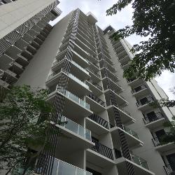 Nin Residence (D13), Apartment #138224802